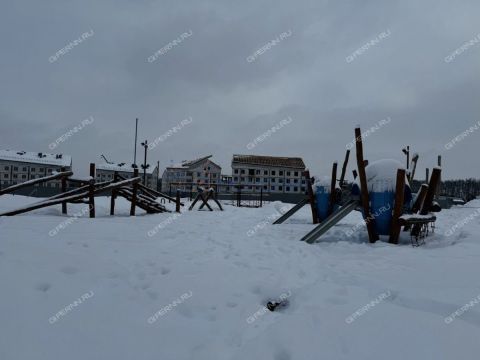 1-komnatnaya-kultura-sp-kstovskiy-rayon фото