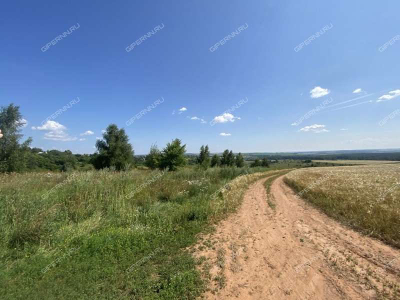 земельный участок 16 соток Зеленая улица село Румянцево