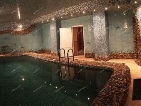 derevnya-rozhnovo-gorodskoy-okrug-bor фото