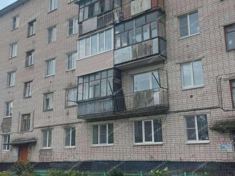 двухкомнатная квартира на Новой улице дом 8 посёлок Мулино