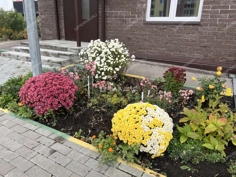 квартира-студия на 2-й Дорожной улице дом 21