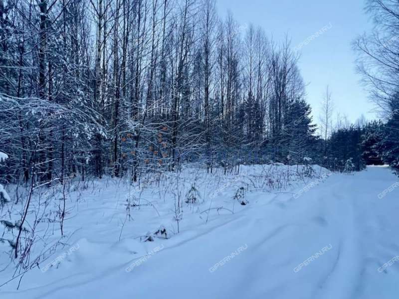 земельный участок под сельхоз назначение в Городецком районе Нижегородской области