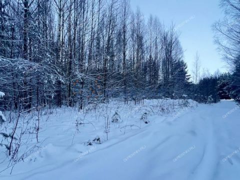 derevnya-malyy-suhodol-gorodeckiy-rayon фото