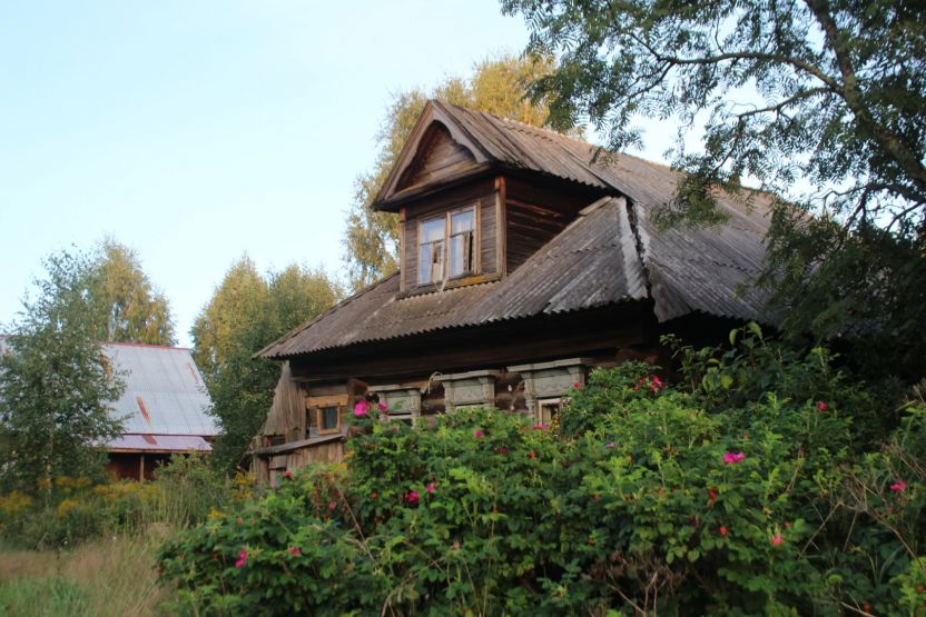 Фото: Ксения Ражева / gipernn.ru