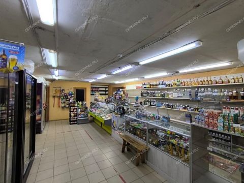 dvorovaya-ul-d-34 фото