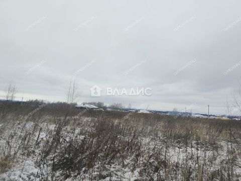 selo-bezvodnoe-kstovskiy-rayon фото