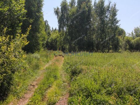 derevnya-kruglovo-gorodskoy-okrug-bor фото