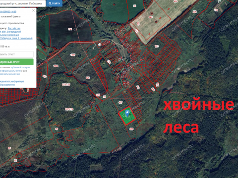 derevnya-pobediha-bogorodskiy-municipalnyy-okrug фото