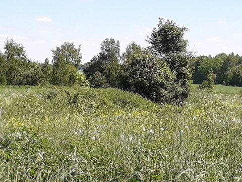 derevnya-zabolotnoe-sokolskiy-gorodskoy-okrug фото