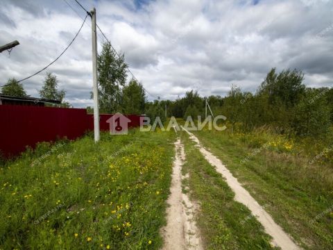 selo-spirino-bogorodskiy-municipalnyy-okrug фото