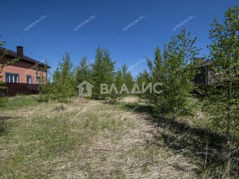 derevnya-burcevo-bogorodskiy-municipalnyy-okrug фото