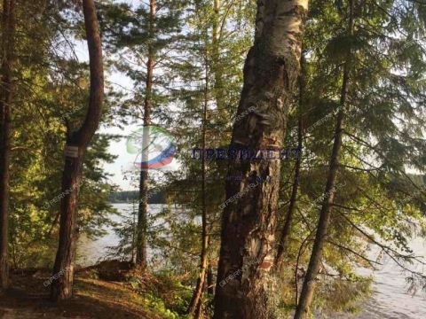 derevnya-vyazoviki-sokolskiy-gorodskoy-okrug фото