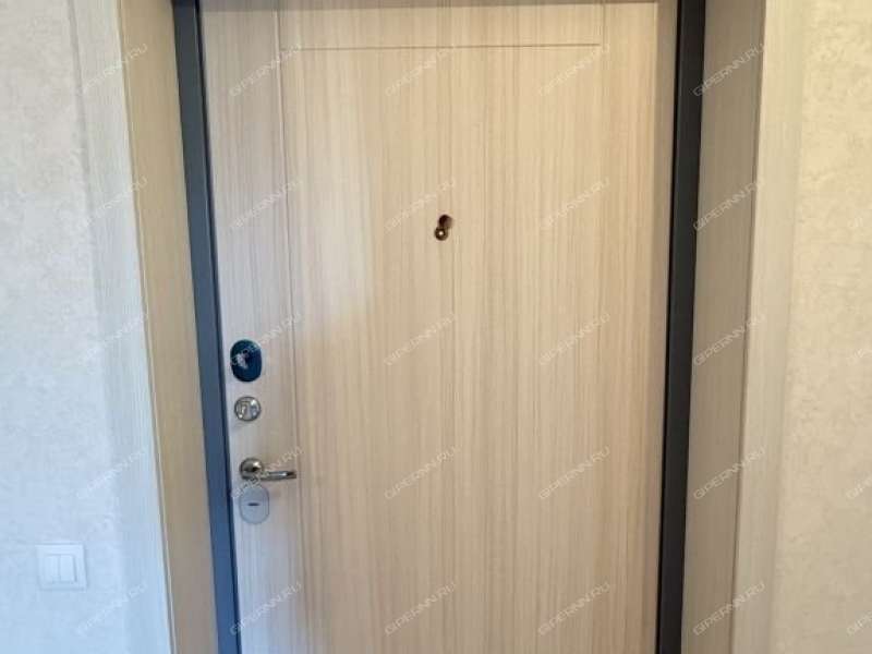 двухкомнатная квартира на улице Академика Чазова дом 3