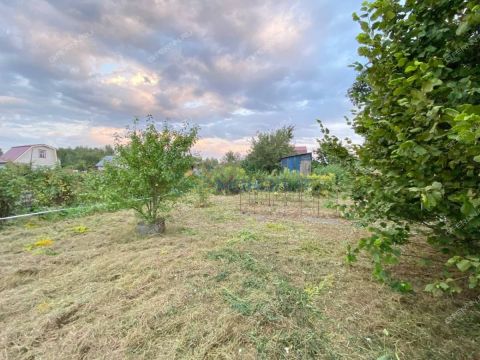 dacha-rabochiy-poselok-gidrotorf-balahninskiy-municipalnyy-okrug фото