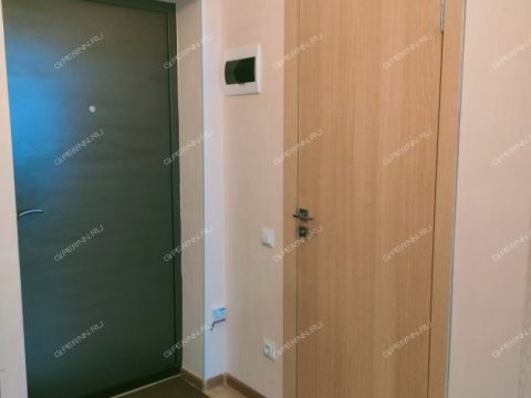 1-komnatnaya-ul-2-ya-dorozhnaya-d-5 фото