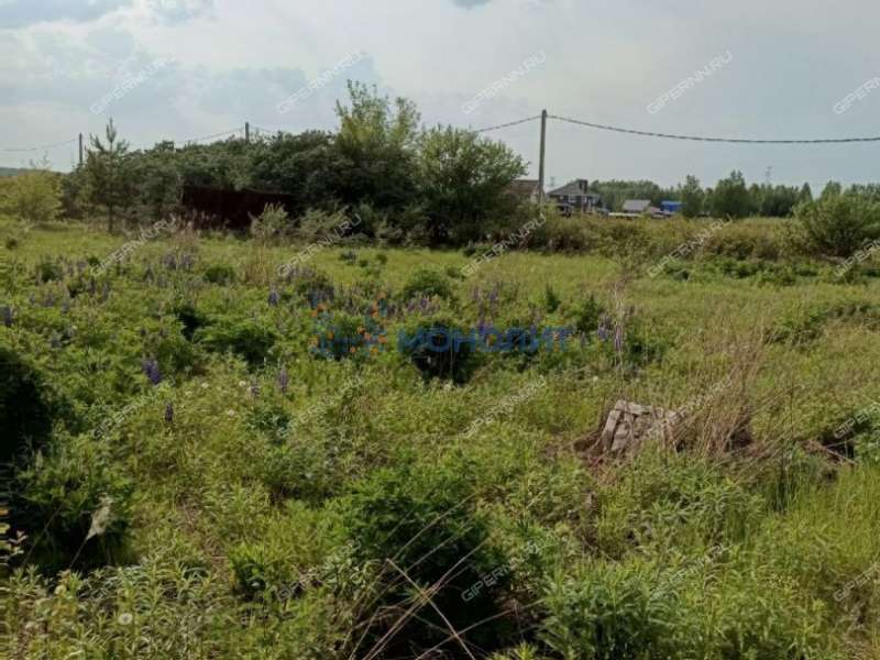 земельный участок под сельхоз назначение в Дивеевском районе Нижегородской области