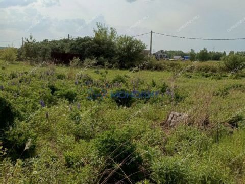 derevnya-prudy-bogorodskiy-municipalnyy-okrug фото