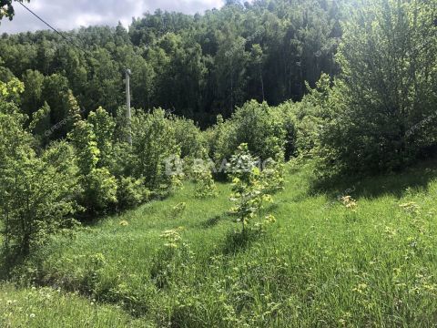 selskiy-poselok-leninskaya-sloboda-kstovskiy-rayon фото