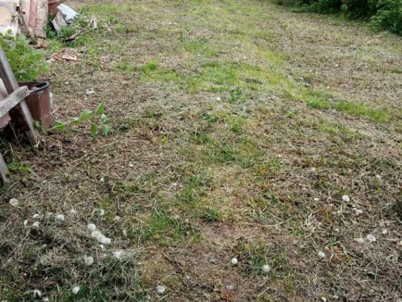 1/2 дома на улице Перчанкина город Павлово