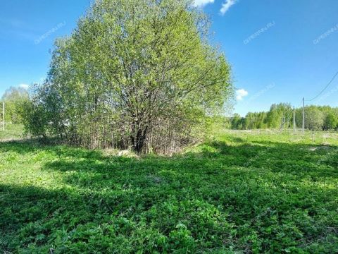 derevnya-berezovka-bogorodskiy-municipalnyy-okrug фото