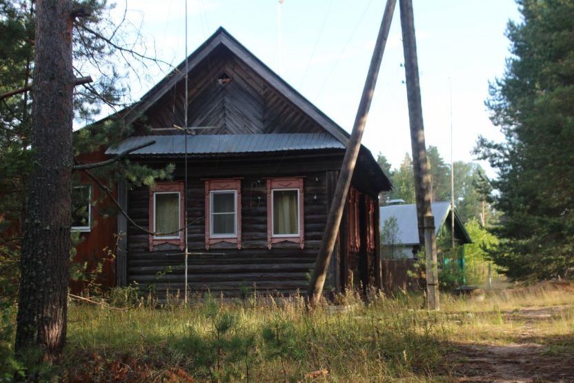 Фото: Ксения Ражева / gipernn.ru
