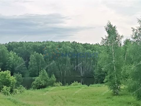 dom-derevnya-kileley-bogorodskiy-municipalnyy-okrug фото