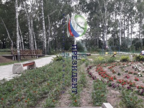 derevnya-bozhenki-sokolskiy-gorodskoy-okrug фото