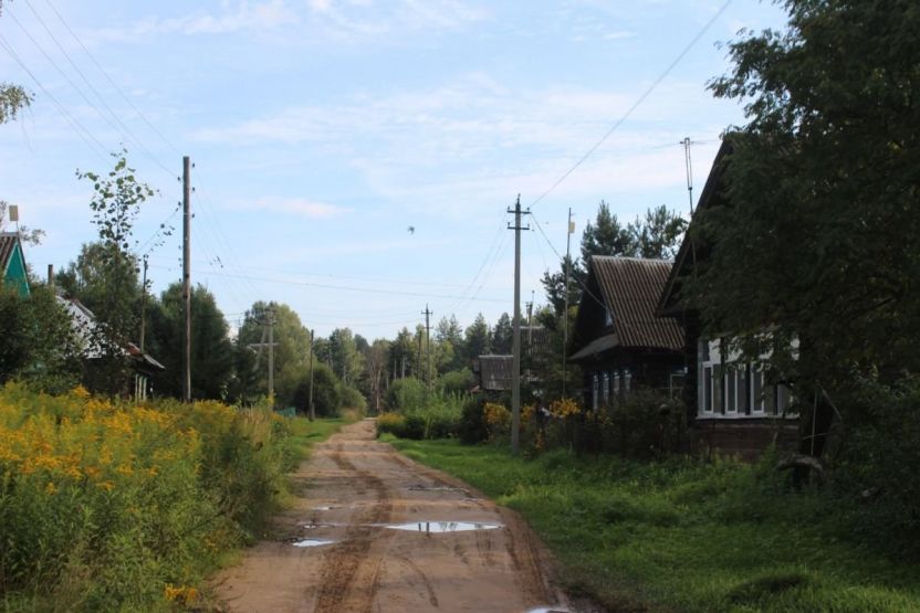 Фото: Ксения Ражева / gipernn.ru