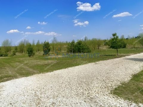 derevnya-kileley-bogorodskiy-municipalnyy-okrug фото