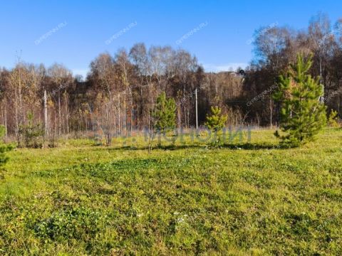 derevnya-shvariha-bogorodskiy-municipalnyy-okrug фото