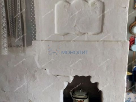 dom-selo-spasskoe-gorodskoy-okrug-bor фото