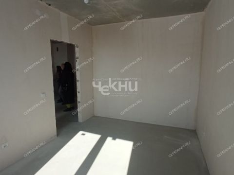 1-komnatnaya-derevnya-afonino-kstovskiy-rayon фото