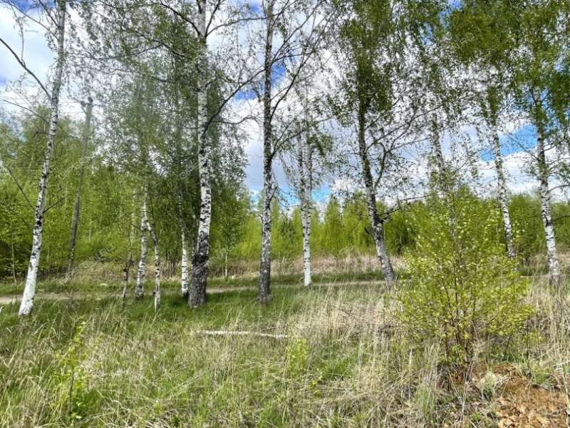 дом на Школьная ул. село Безводное