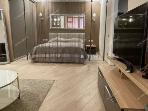 1-komnatnaya-ul-nizhne-pecherskaya-d-6 фото