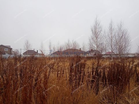 gorod-bogorodsk-bogorodskiy-municipalnyy-okrug фото