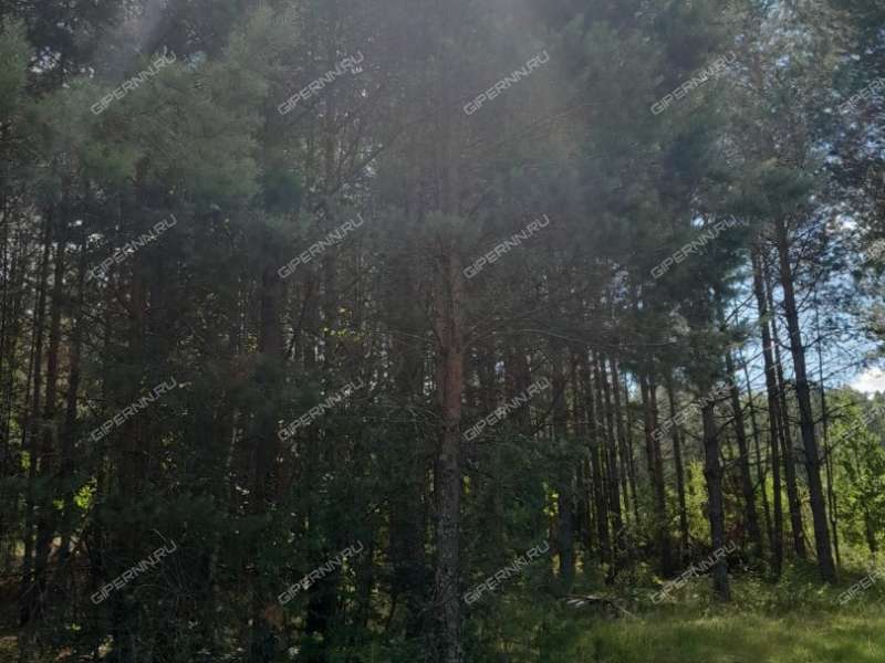 земельный участок под сельхоз назначение в Арзамасском районе Нижегородской области