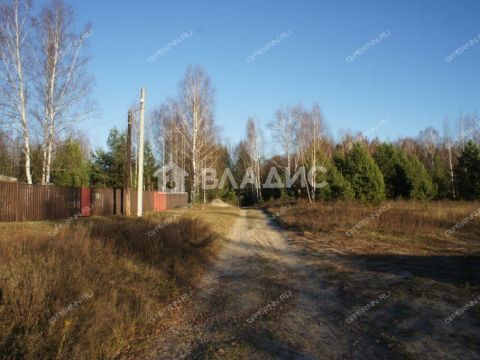 dom-derevnya-shhepachiha-pavlovskiy-municipalnyy-okrug фото