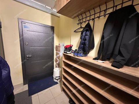 1-komnatnaya-derevnya-afonino-kstovskiy-rayon фото