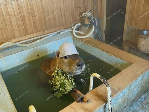 dom-snt-n19-doskinec фото