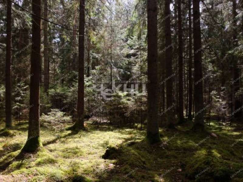 здание под недвижимость под гостиничный бизнес на  деревня Зуево