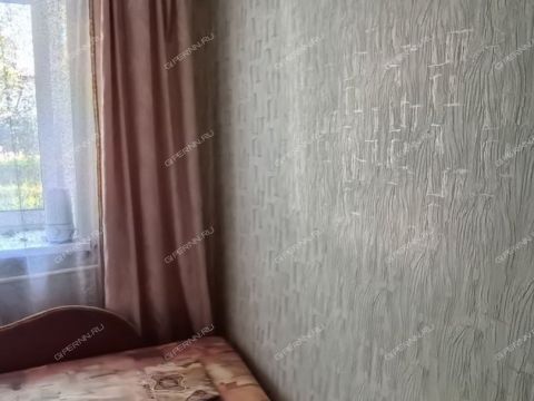 3-komnatnaya-ul-centralnaya-d-18 фото