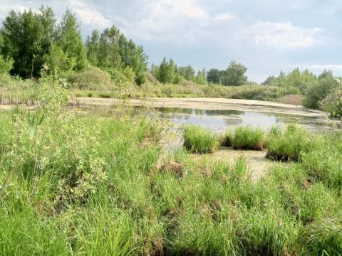 dom-rabochiy-poselok-gorbatovka-gorodskoy-okrug-dzerzhinsk фото