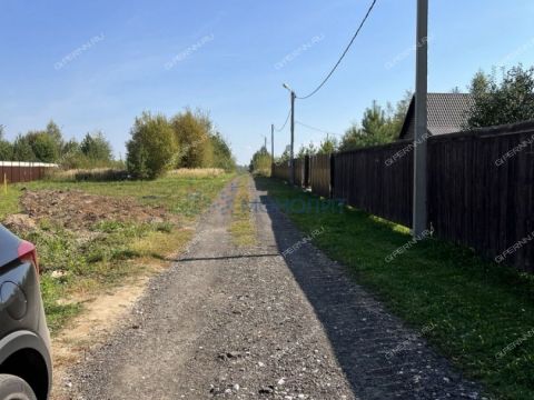 selo-arapovo-bogorodskiy-municipalnyy-okrug фото