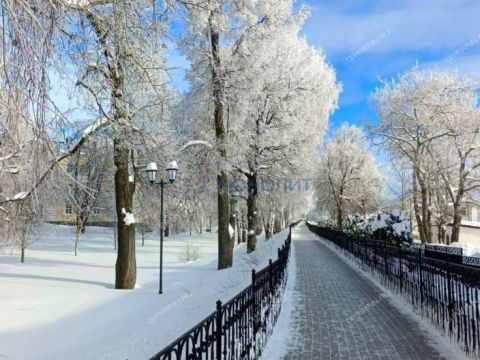 selo-diveevo-diveevskiy-municipalnyy-okrug фото