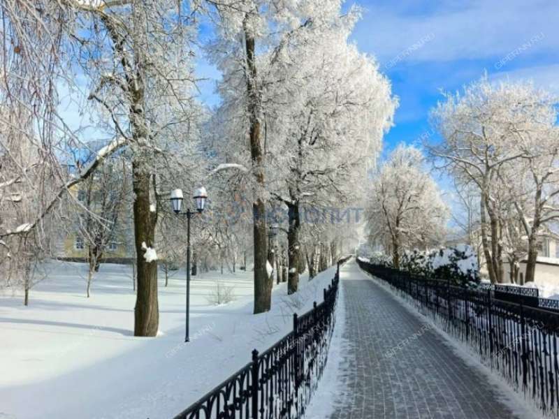 земельный участок 20,6 сотки Дружная улица село Дивеево