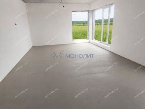 kottedzh-derevnya-berezovka-bogorodskiy-municipalnyy-okrug фото