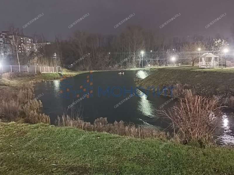 однокомнатная квартира на Лукерьинской улице дом 1 город Кстово