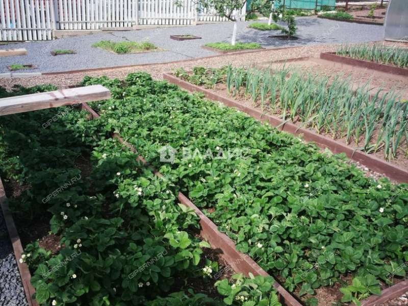 дом на Нагорной улице село Старково