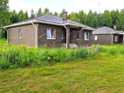 dom-derevnya-borisovka-gorodskoy-okrug-bor фото