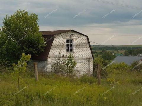 dacha-derevnya-gornyy-borok-kstovskiy-rayon фото